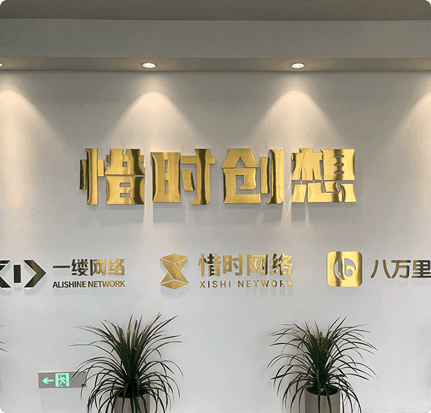 Company Overview